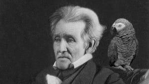 Andrew Jackson Parrot