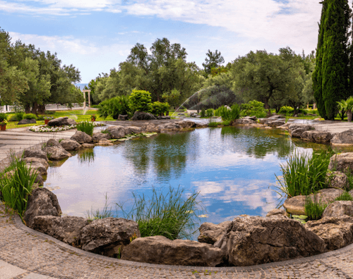 Belvoir garden pond ideas