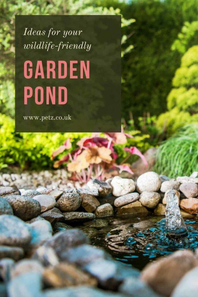 Best Garden Pond Ideas