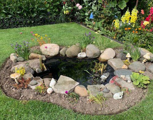 Building A Wildlife Pond