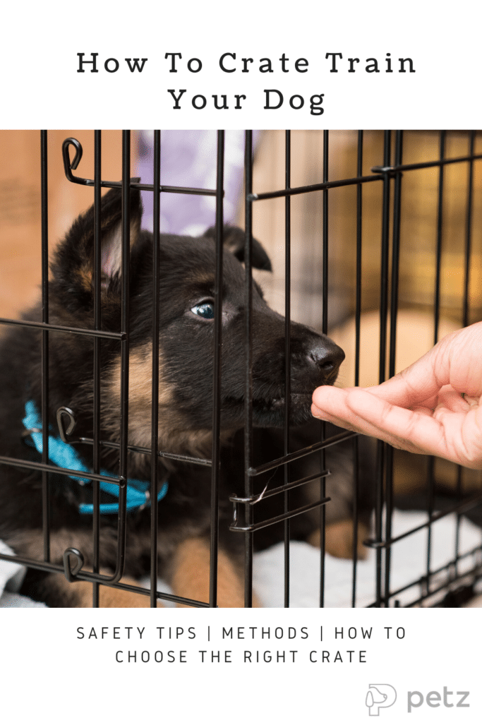 How To Crate Train Your Dog