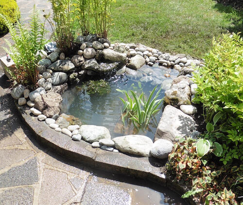 Small Pond Idea