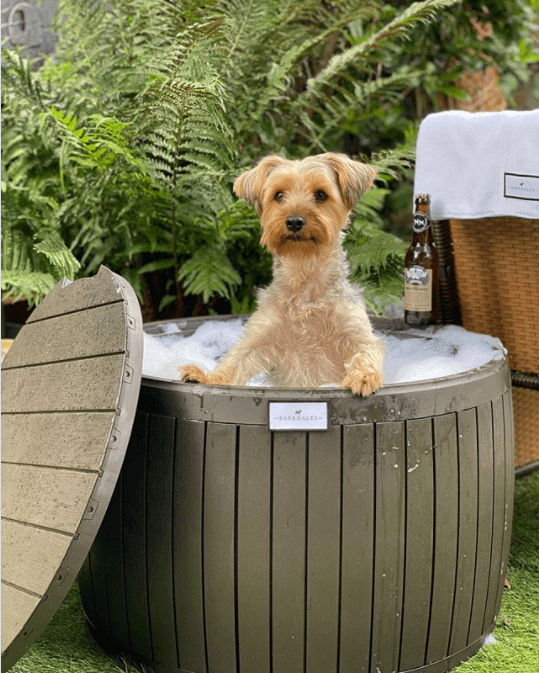 barkdales dog grooming centre